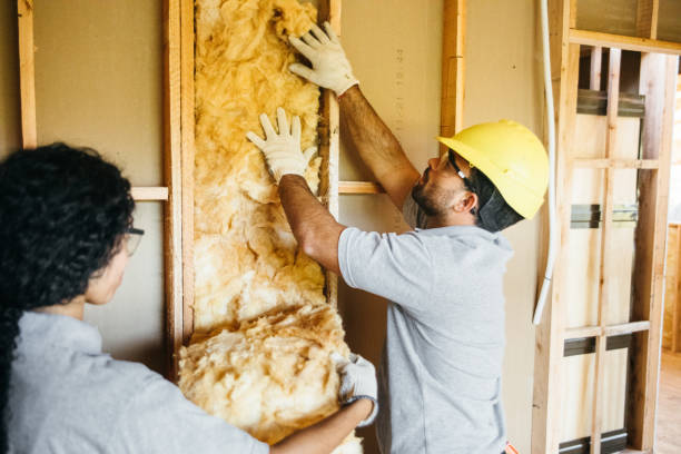 Professional Insulation in Princeton, IN